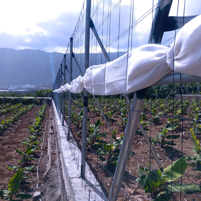 2025PET温室農場遮光サポートラインポリエステルモノフィラメントブドウ園ワイヤーメーカー