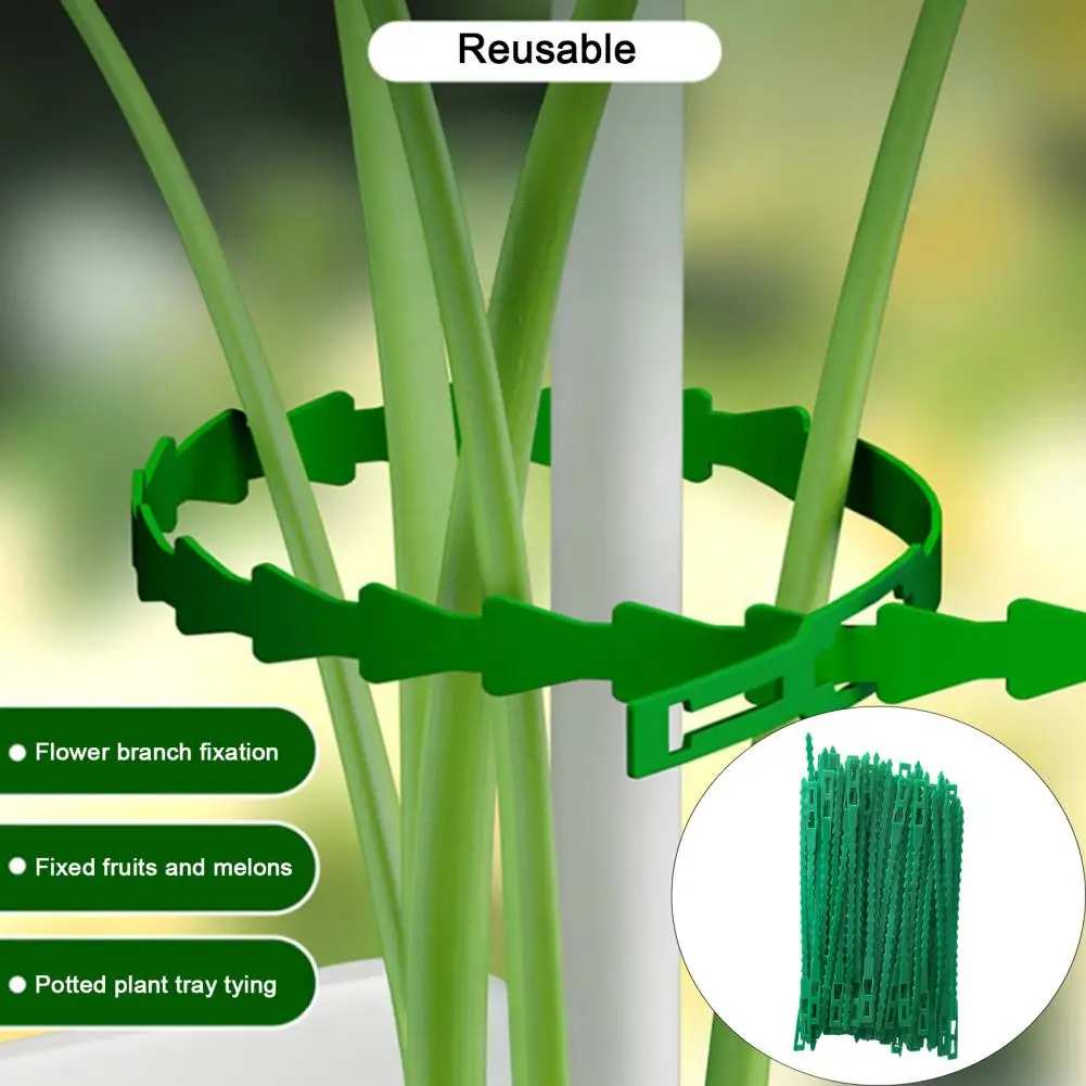 13/17cm Adjustable Plant Ties Multi-Function Flexible Plastic Cable Management Ties Garden Plant Support Ties For Vines Shrubs