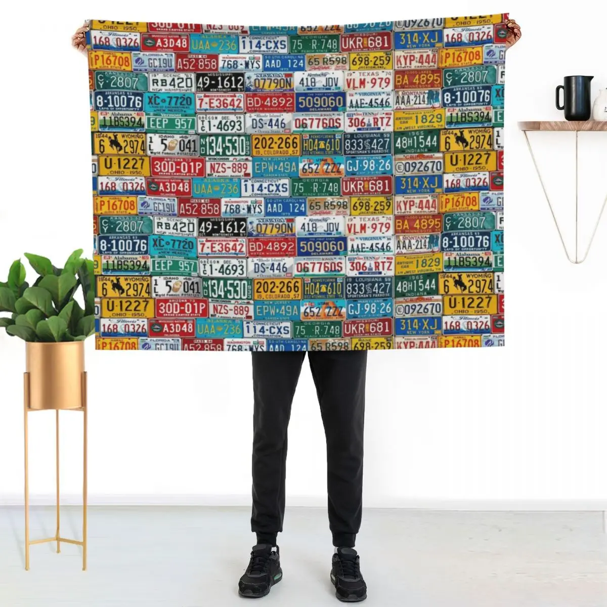 

All States Plates Throw Blanket Anti Shedding Soft Fuzzy Blanket for Home