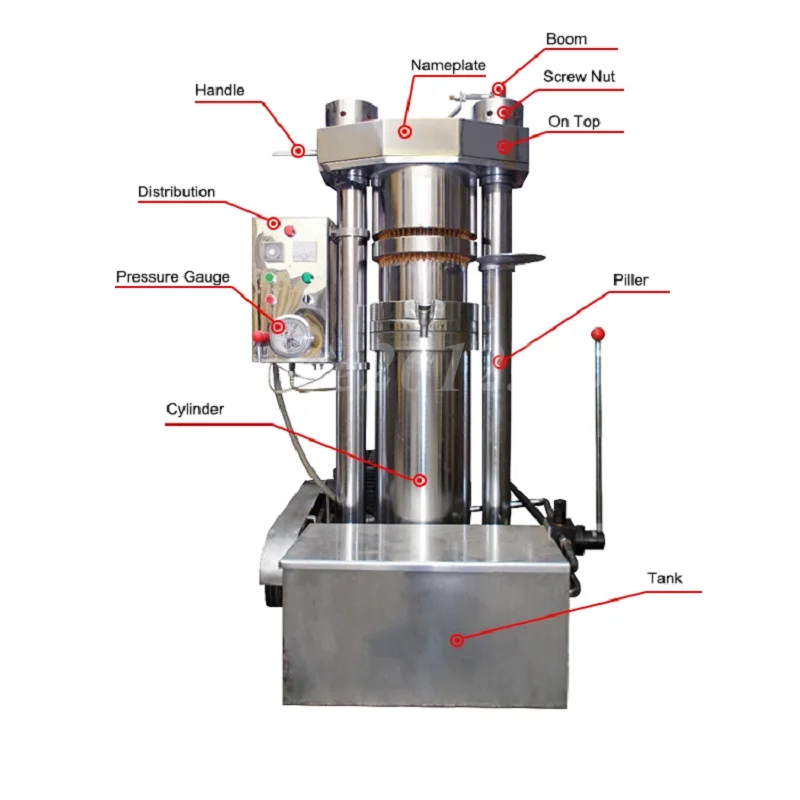 Hot Sale Cold Hydraulic Sesame Oil Press Fully Automatic Hydraulic Oil Press Workshop Special Peanut Sesame Oil Press Machine