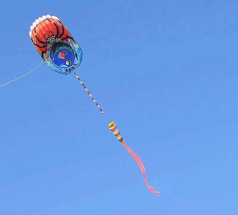 darmowa wysyłka pająk miękki latawiec latający dla dorosłych cerf volant profesjon gigantyczne gry na świeżym powietrzu kama exterieur enfants jardin fun