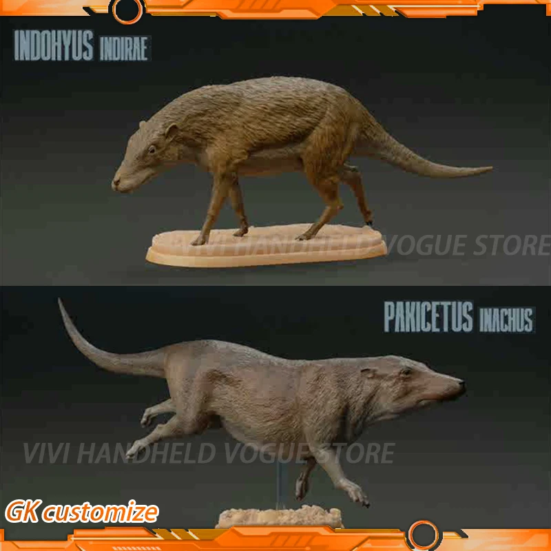 1/35 9cm Pakicetus Model Toy Ancient Extinct Life Model Gk Customize Early Whale Indohyus