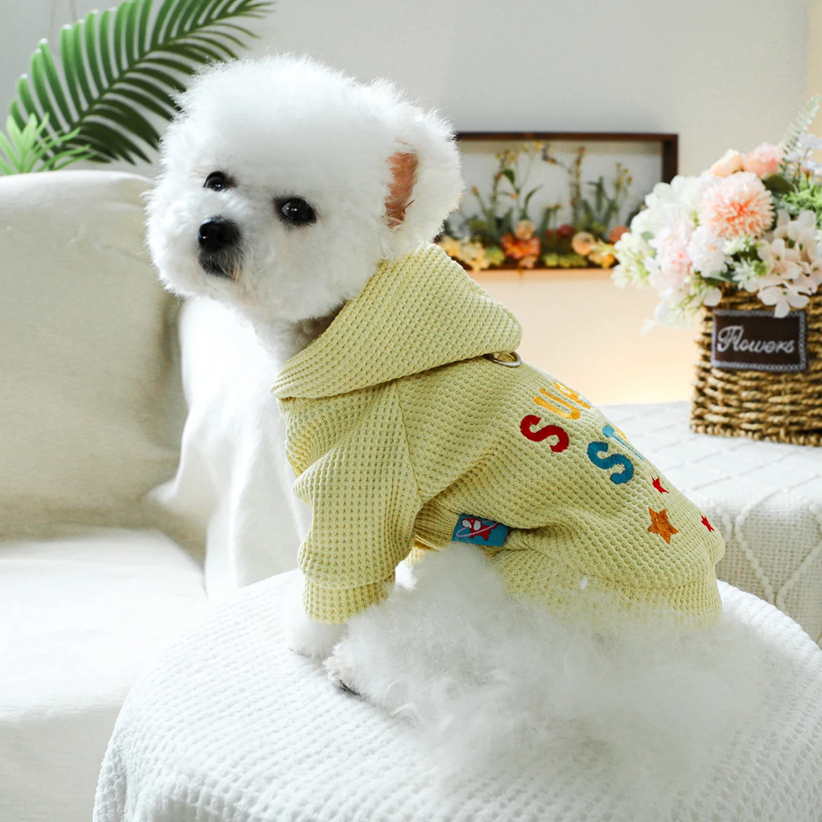 1PC pet clothing dog spring and autumn yellow color super star hat jacket suitable for small and medium -sized dogs