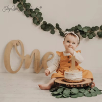 Custom One Sign Photo Prop for First Birthday, Wooden Number Sign, First Birthday Photo Shoot, One Sign, First Birthday