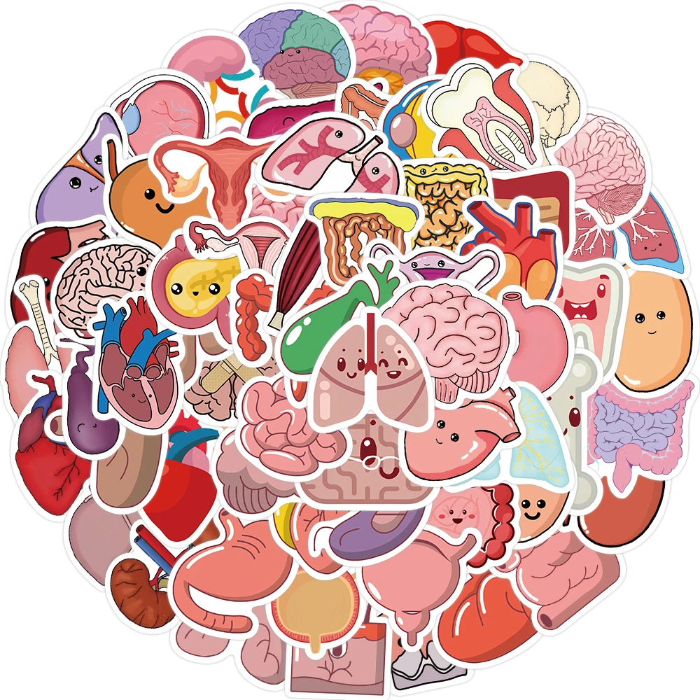 65Pcs Human Body Organ Stickers Cartoon Waterproof Sticker DIY Decals for Water Bottle Laptop Luggage Phone Kids Toys