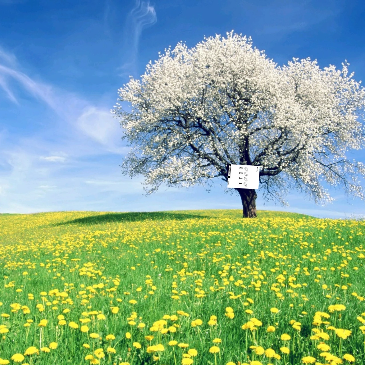 

GPM Aluminium 7075-T6 Fixing Motor Base Reinforcement For TRAXXAS Sledge 95076-4