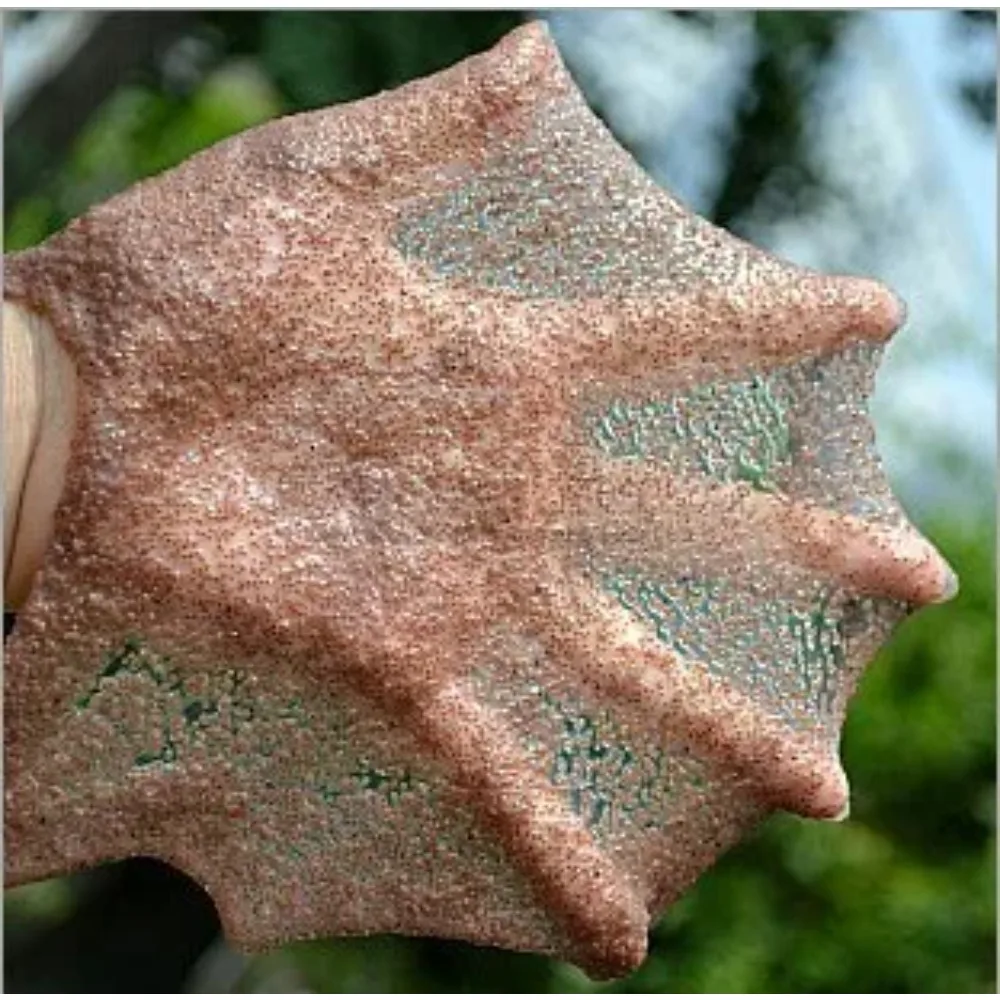 Natural Thailand Algae 820g Facial Seaweed Mask SPA Beauty Salon Anti Aging Products Particles Whitening Hydrating Seed Mask
