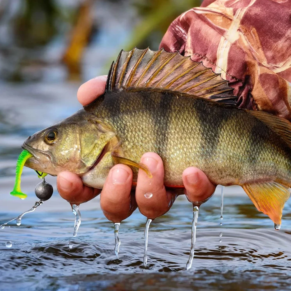Soft Swimbait Lure Set 5