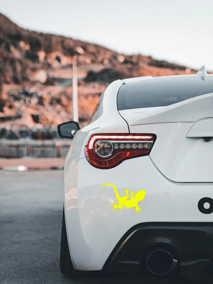 Reptile Lizard Vinyl Sticker, Cool Animal Pattern Sticker, Car Window Bumper, Room Wall Switch DIY Multi Scene Decoration