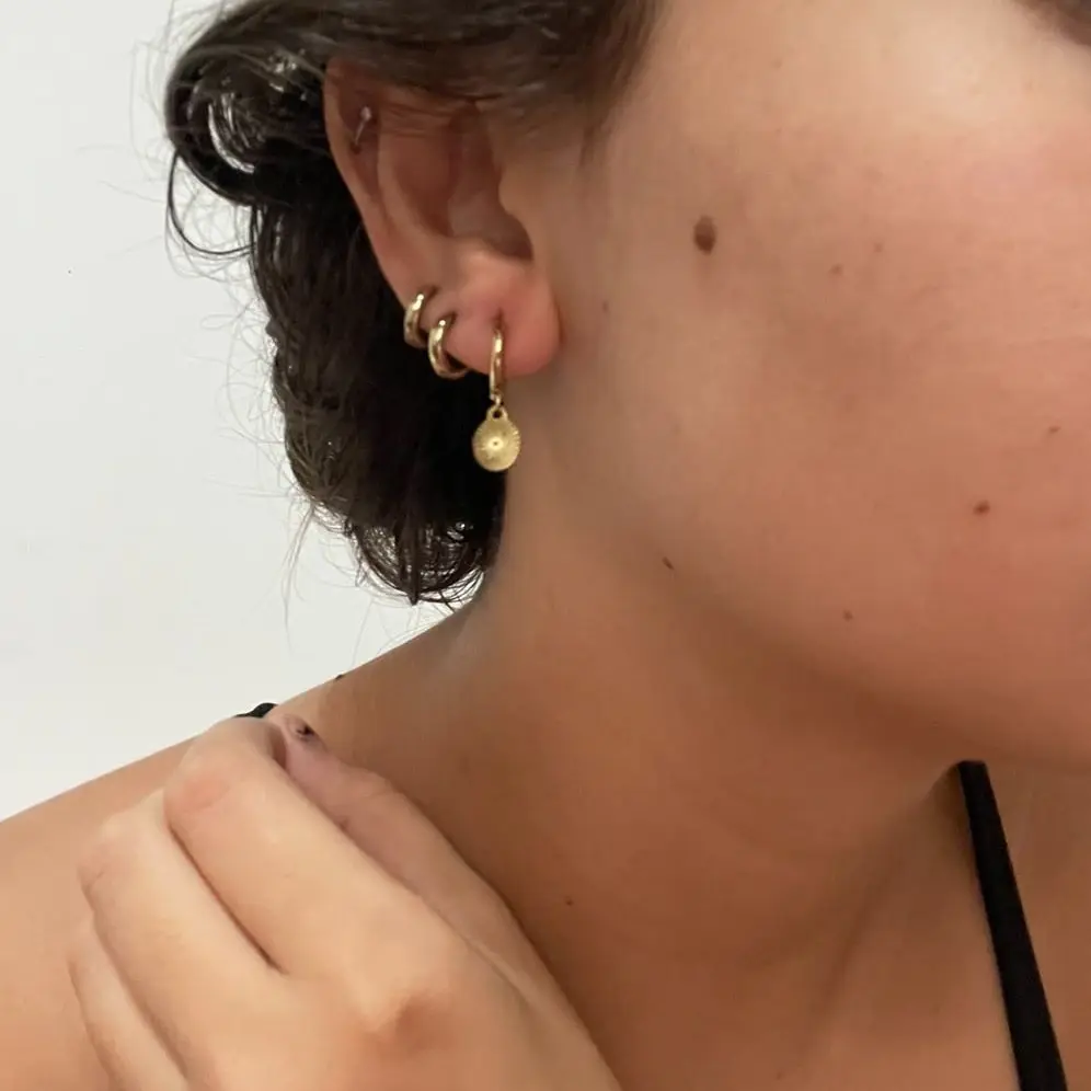 CARLIDANA Stylish Chic 14k Gold Plated Stainless Steel North Star Coin Compass Dangle Hoop Earrings for Ladies Women Jewelry