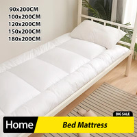 Bed Mattress Comfortable Soft Portable Folding Mattress On Floor Good Ventilation Silen Bed Cushion Single And Double Person