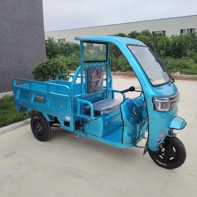 Factory Supply Cargo tricycle 1000W Sanbengzi Electric Motorcycle 3 Wheel Electric Tricycle Bike For Adults