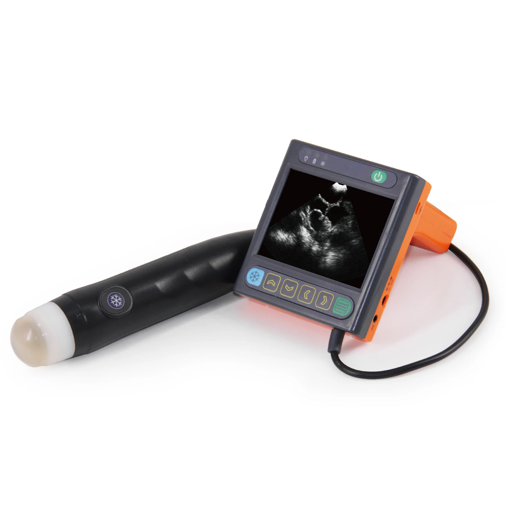 

Lowest Price Veterinary Ultrasound Machine for Livestock Farm