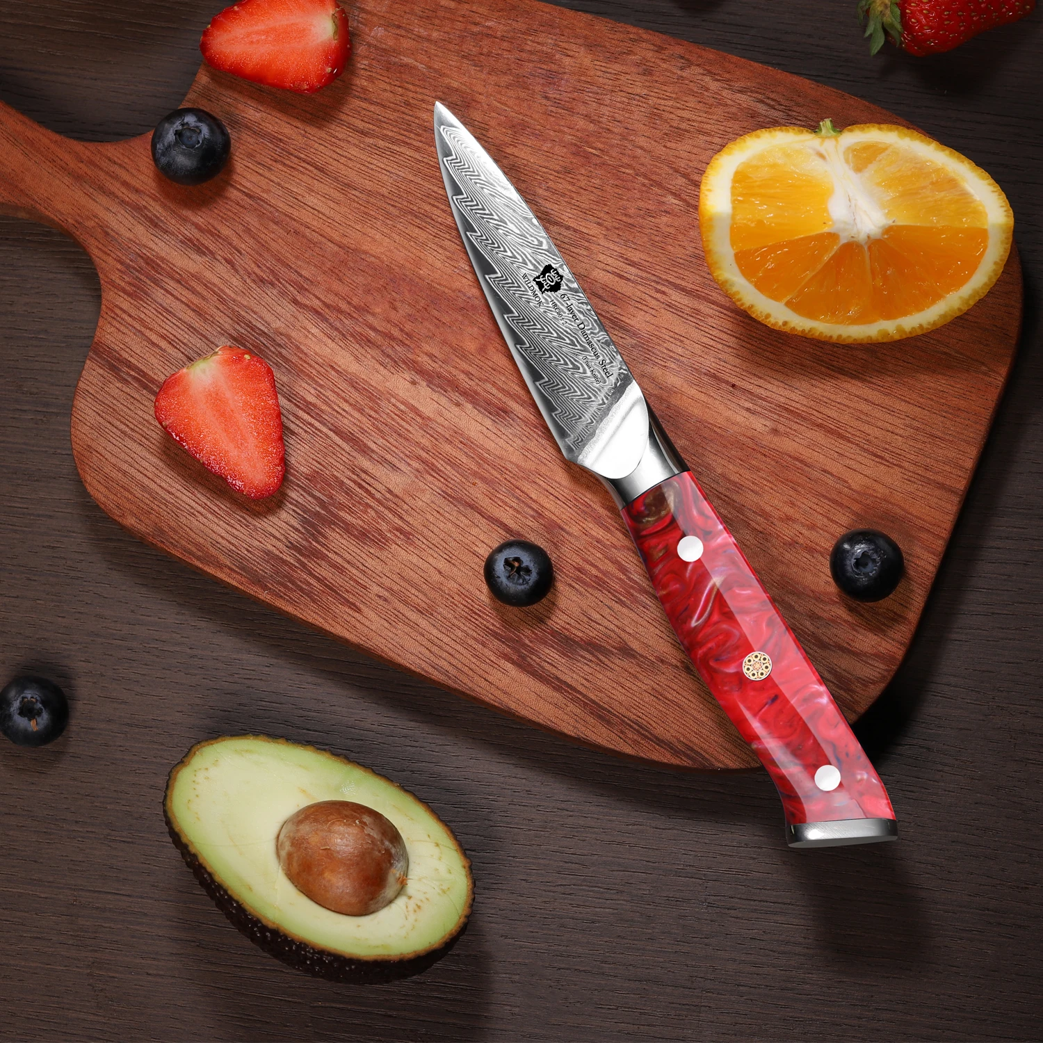WILDMOK Damascus Paring Knife, 3.5' Japanese 67 Layers Damascus Steel Fruit Knife, Ultra Sharp Resin Handle Paring Knife