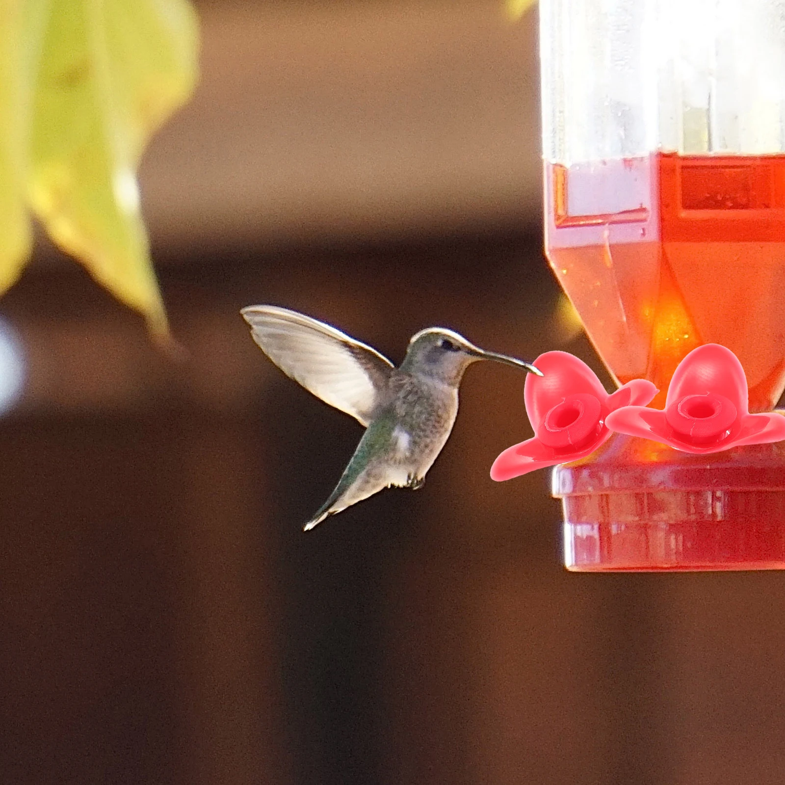 

12Pcs Hummingbird Feeder Replacement Flowers Plastic Flower Feeding Ports Bird Feeder Parts Outdoor Bird Feeding Tools
