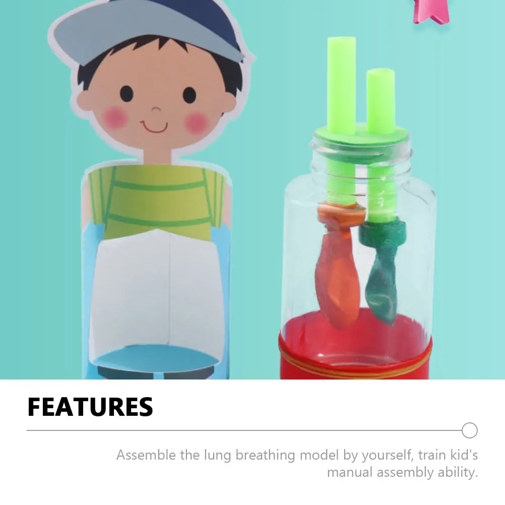 

2 Sets Breathing Material Package Premium Human Lung Model Assembly Toy Educational Teaching Tool STEM Kit for Kids Hands on