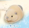 yellow beaver