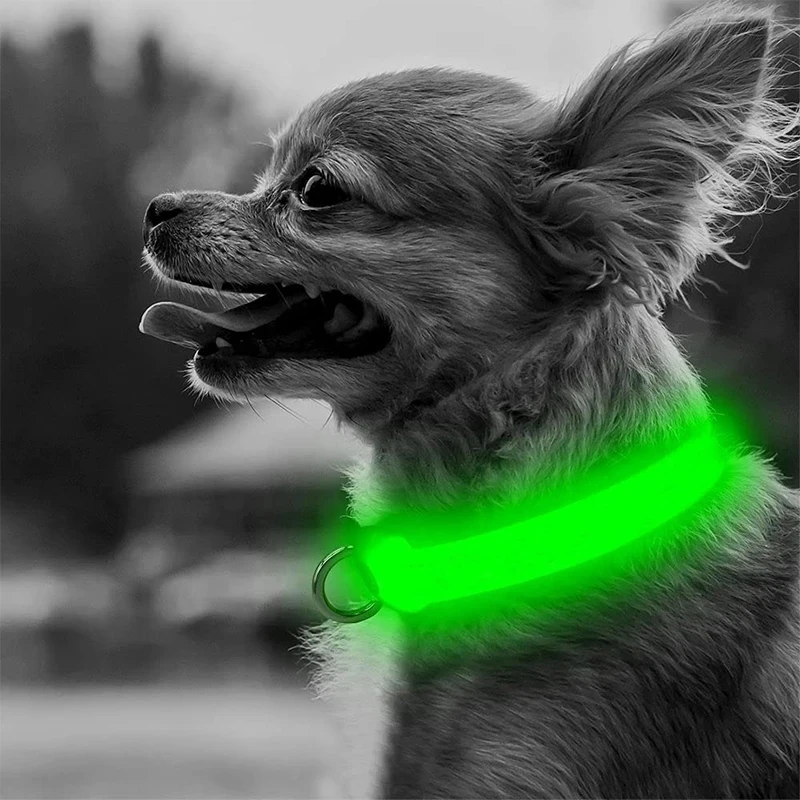 Dog Collar Anti-lost Luminous Collar Night Battery-type Light Source Adjustable Small And Medium-sized Cat And Dog Collar