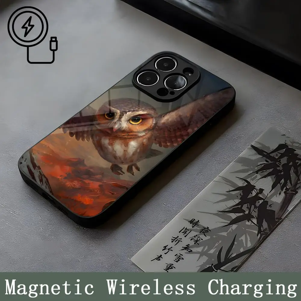 Legend Of The Guardians-vidrio de magnetismo fuerte para IPhone 14ProMax 15 13 12 15 11 Pro XS Max Plus Mini Coque