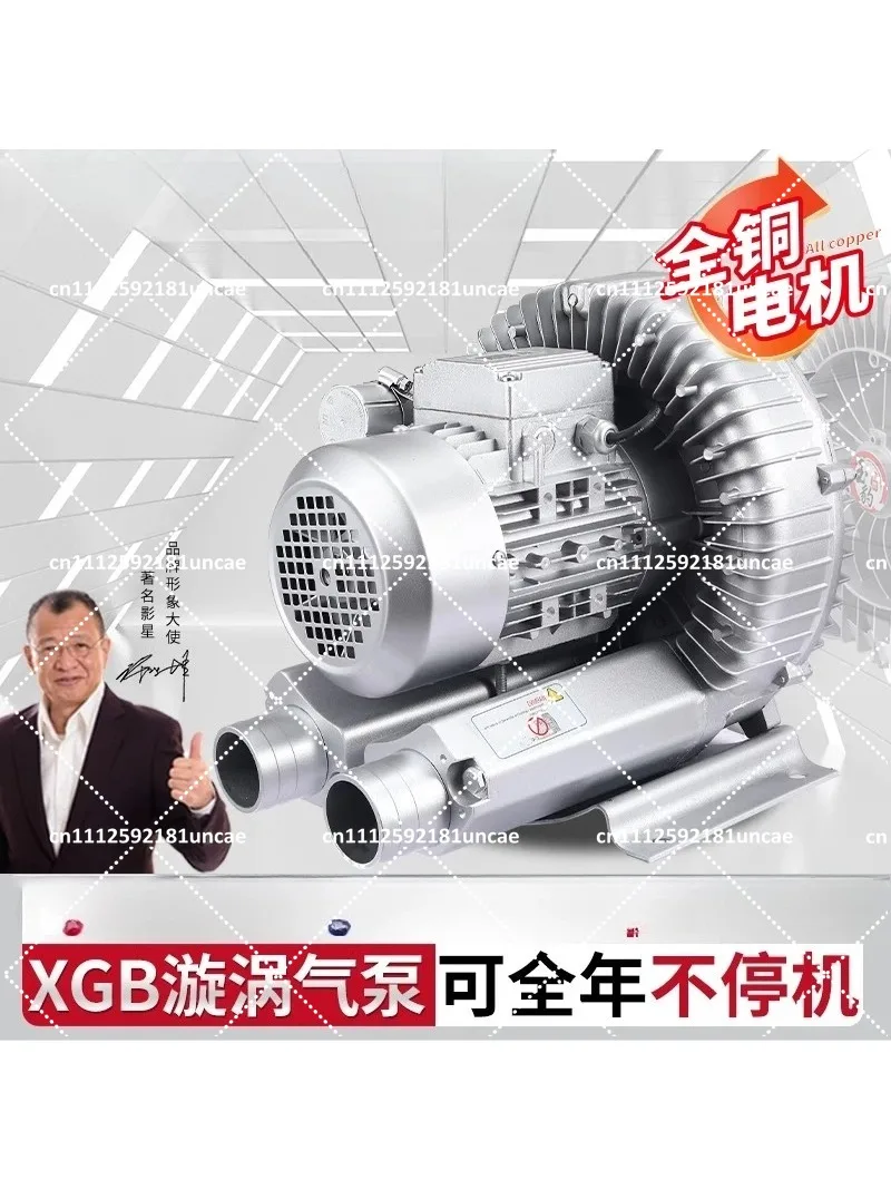 Industrial High Pressure Vortex Blower 220V 380V Strong Suction Air Pump for Ventilation