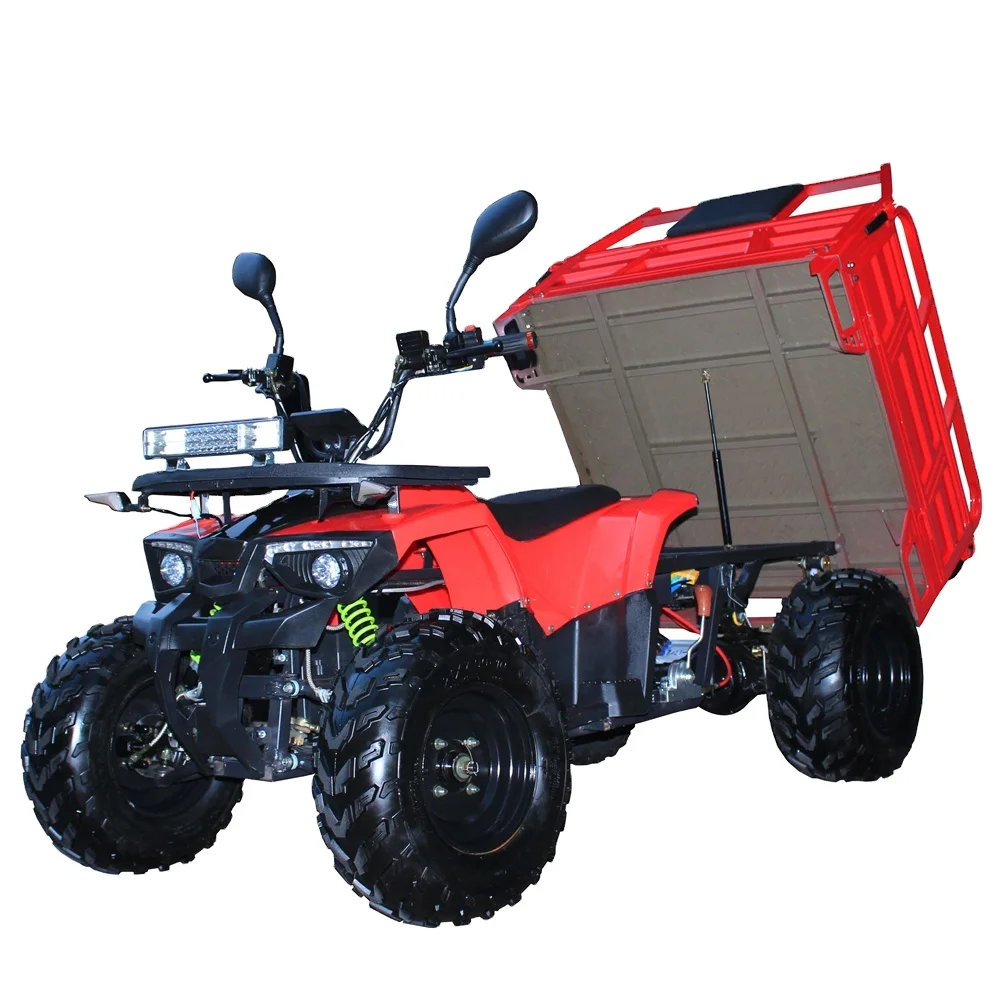 

New Arrival 125CC 2WD ATV Quad Bike Adult with LED Light CE Certified Farm Adults All-Terrain Vehicle