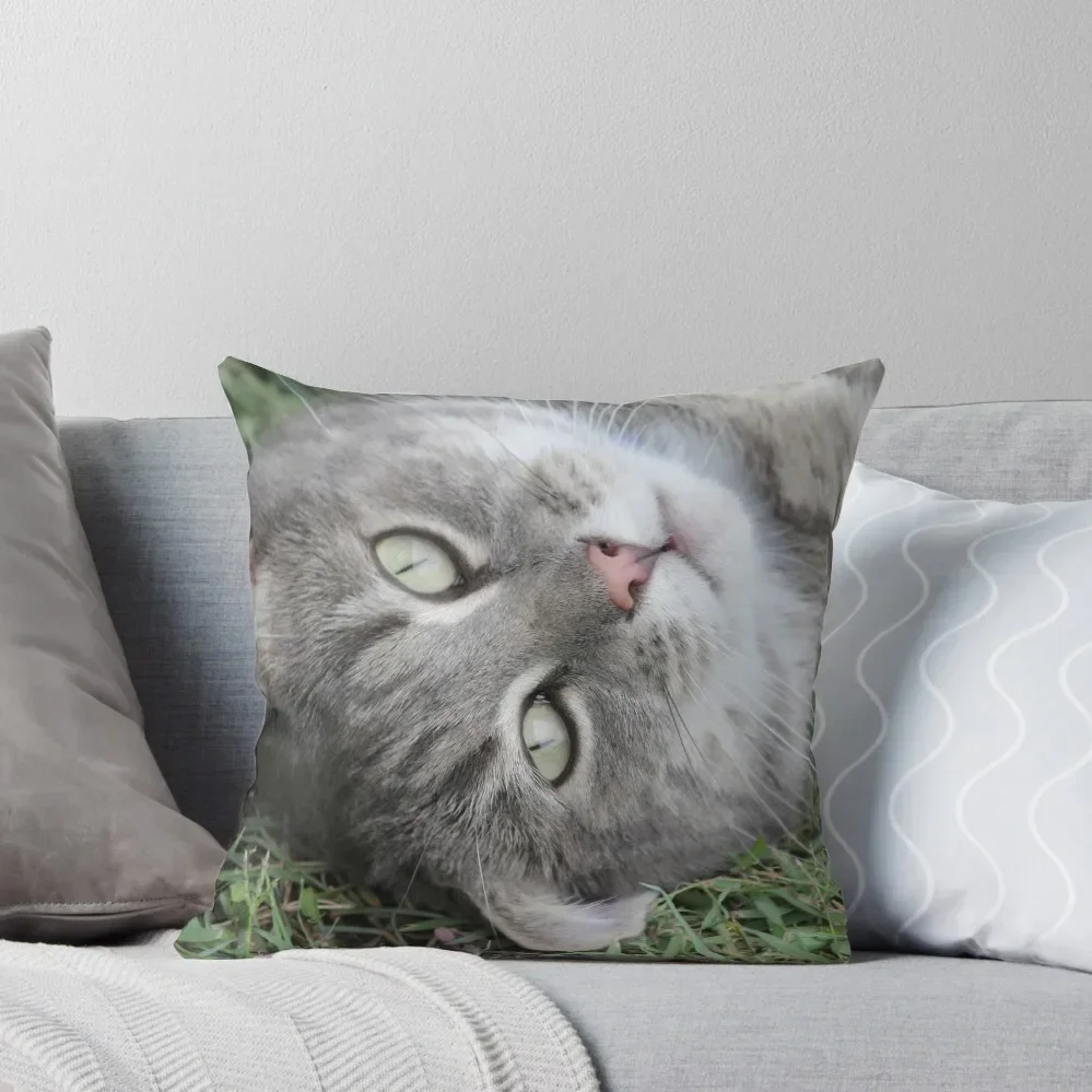 

Grey Cat Throw Pillow Decorative pillowcase Sitting Cushion Christmas Covers For Cushions Sofa Covers pillow