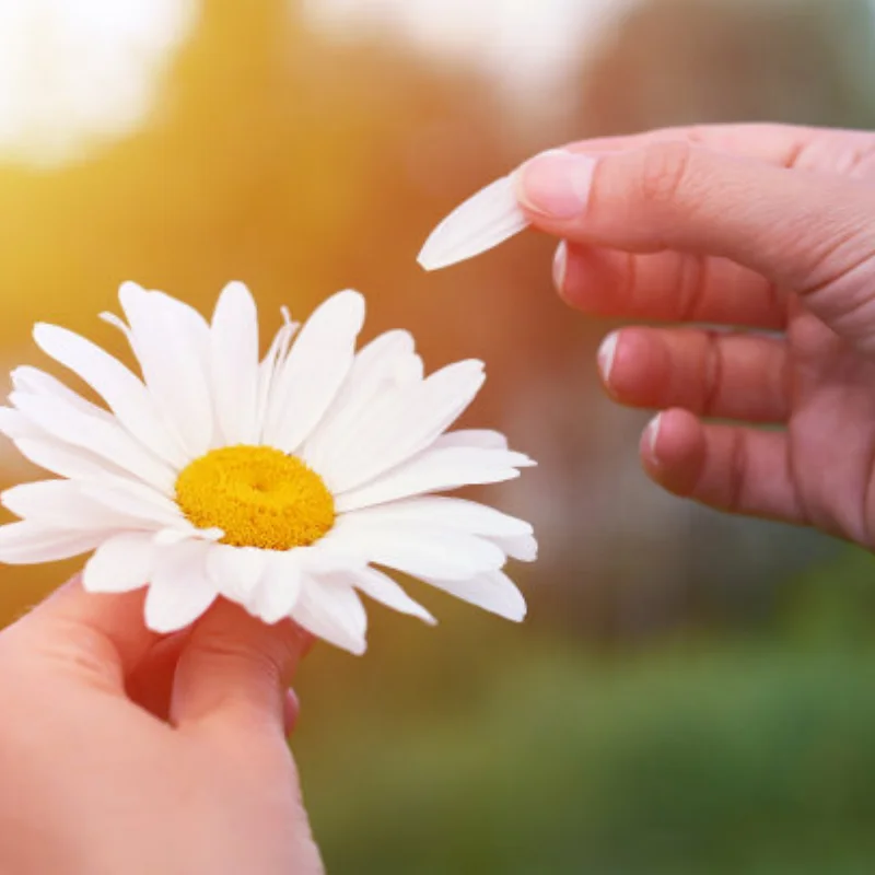 

RED SPIDER 118*43 мм, колесные шины 1,9 дюйма для 1/10 RC гусеничного автомобиля, осевой SCX10 Pro Capra UTB18 TRX4 Redcat