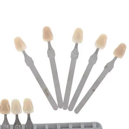 Porcelain Dentist Dental Material Equipment Set Teeth Whitening VITA Pan Classical 1 Complete Kit for Professional Dental Care