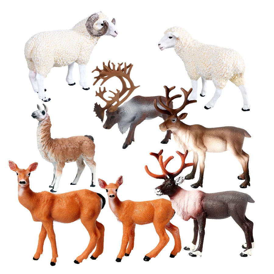 Simulazione Wild Animal Alpaca, antilope Sheep,Elk,Whitetail Deer,Sika-Deer Model Figurine Educational Collector Figurine giocattoli per bambini