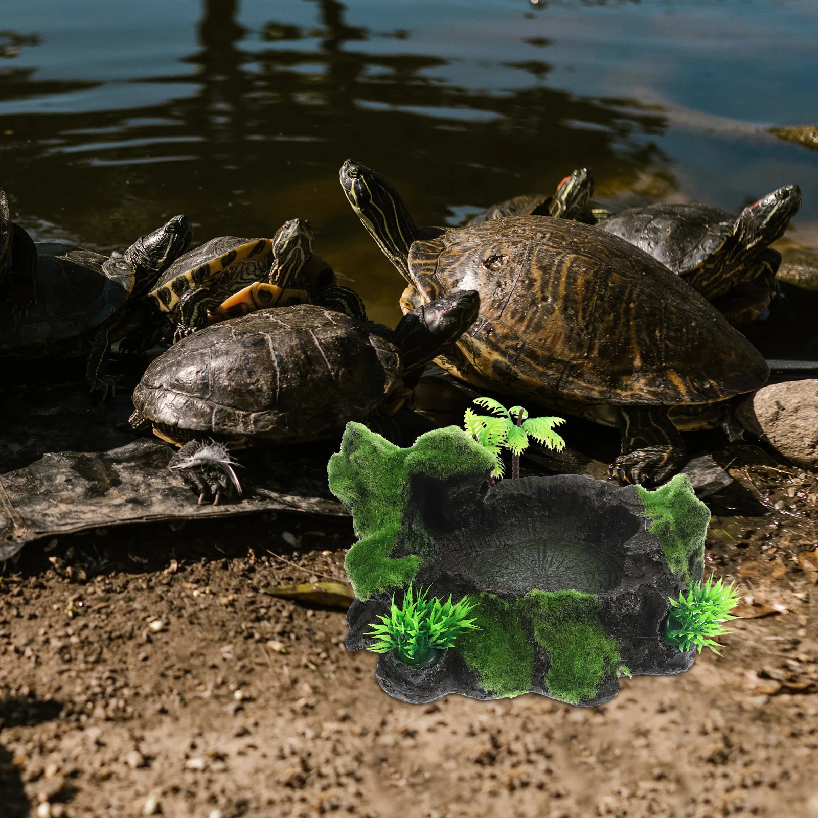 

Natural Style Resin Reptile Dish Non-Slip Feeding Bowl Stable Water Dish Terrarium Supply Terrarium Reptile Bowl