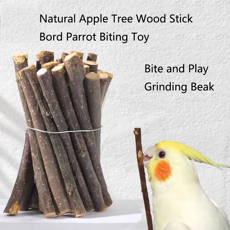 Professional Bird Parrot Teeth Grinding Apple Tree Stick Minerals Molar Stone Toys for Chinchilla Hamster Small Pet Toys Supply