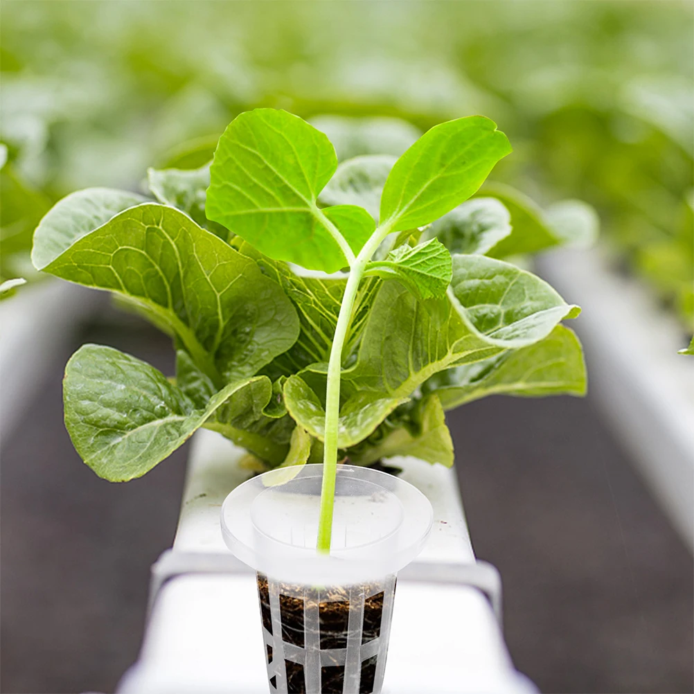 

Hydroponic Planting Basket Cups Mesh Pots Garden Net Hydroponics Containers Growing