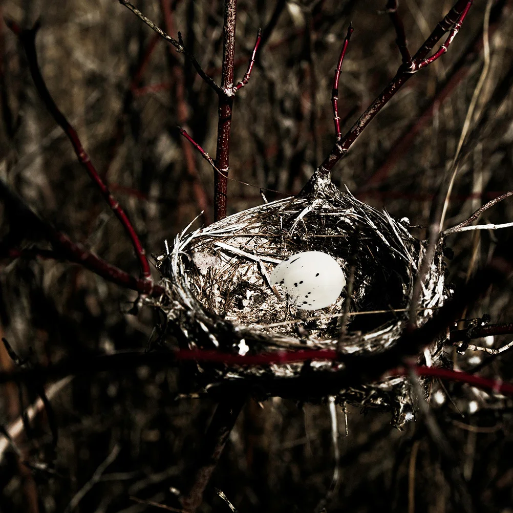 Имитация-птичьих-яиц-мини-искусственное-перепелиное-яйцо-креативное-пасхальное-свадебное-украшение-для-дома-и-сада-для-поделок-и-фестивалей