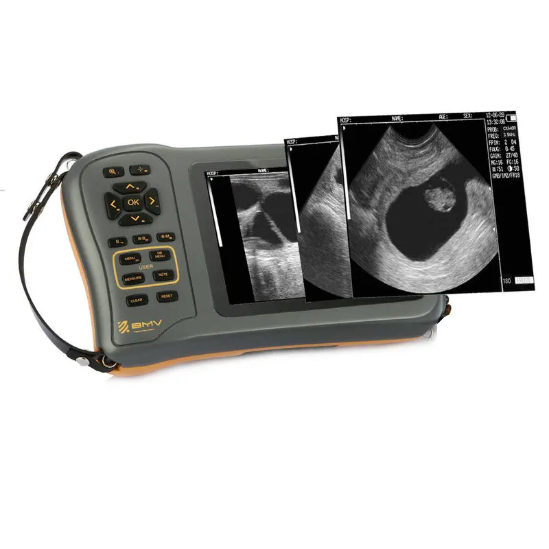 Pig sheep goat preg nancy test ecografo bmv farmscan m50 ultrasonido portatil veterinary ultrasound