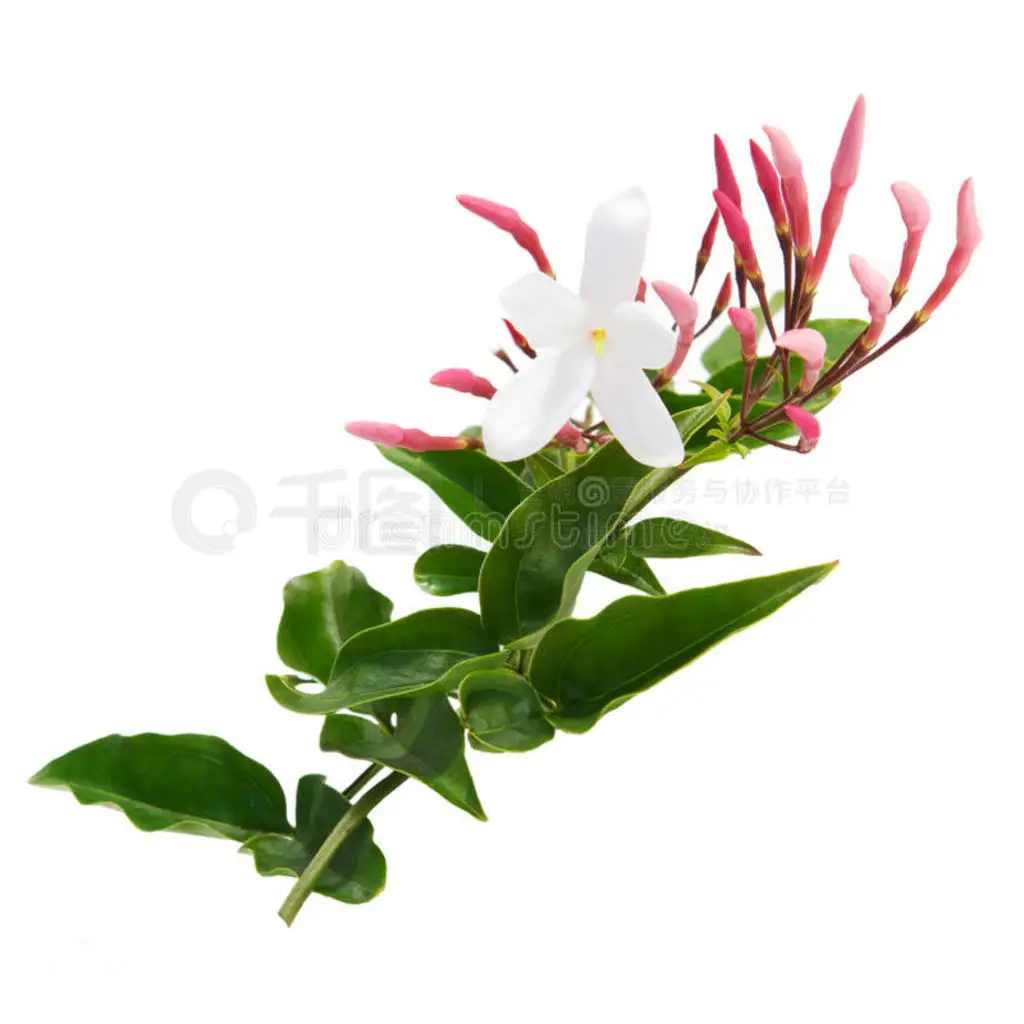 

Алюминиевые диски для радиоуправляемых машин 1/10 Tamiya Mini Cooper M05 Pro M06 M07 M08 M-Chassis SW-01 MF-01X MB-01, запчасти для тюнинга