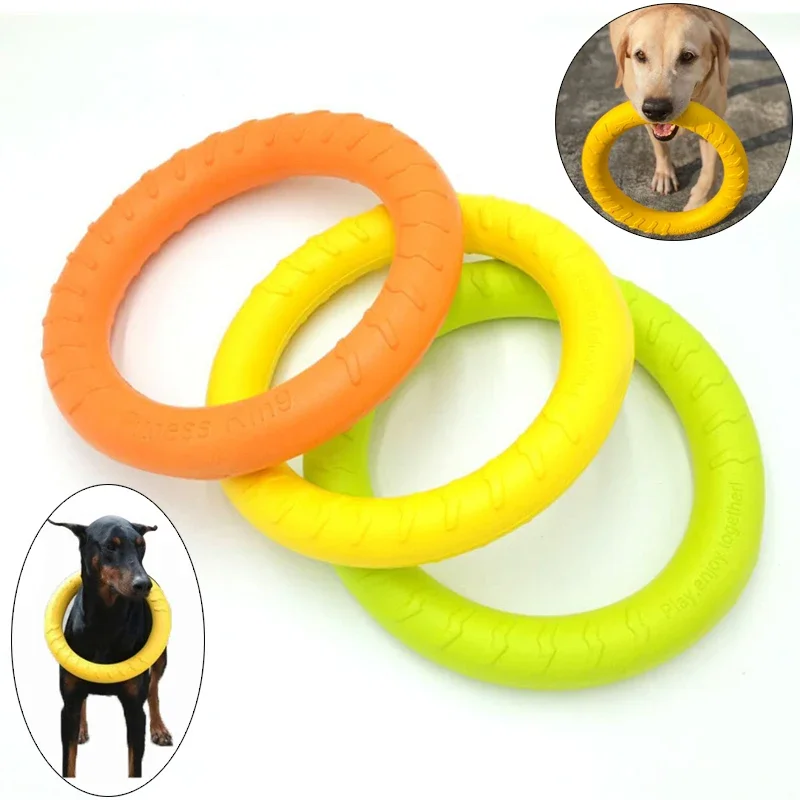 Os Melhores Brinquedos para Golden Retriever: O Que Realmente Funciona para Cães Grandes e Ativos?
