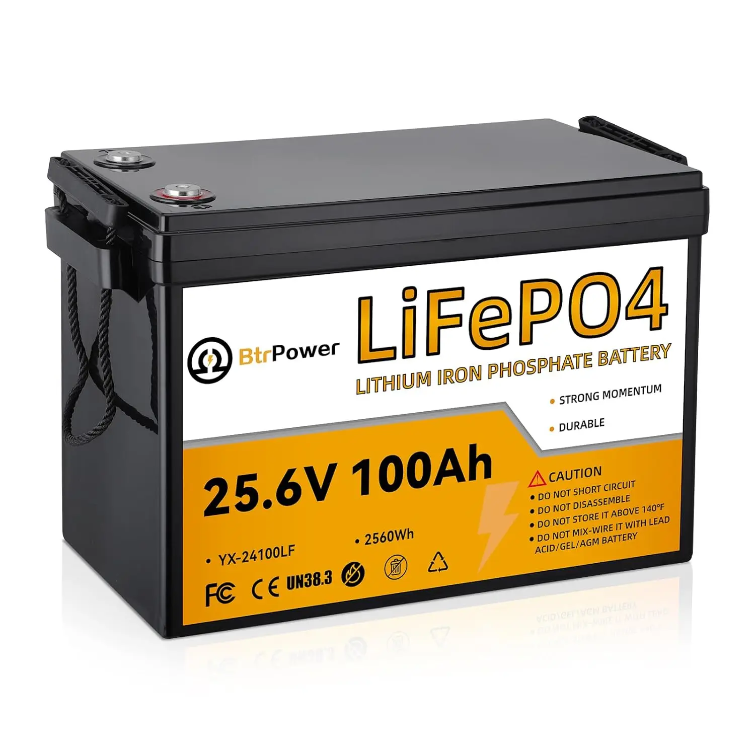 24V 100Ah Lithium LiFePO4 Battery,8000+ Deep Cycle LiFePO4 Batteries, Built-in 100A BMS,2560Wh Energy,Perfect for Home, Custom