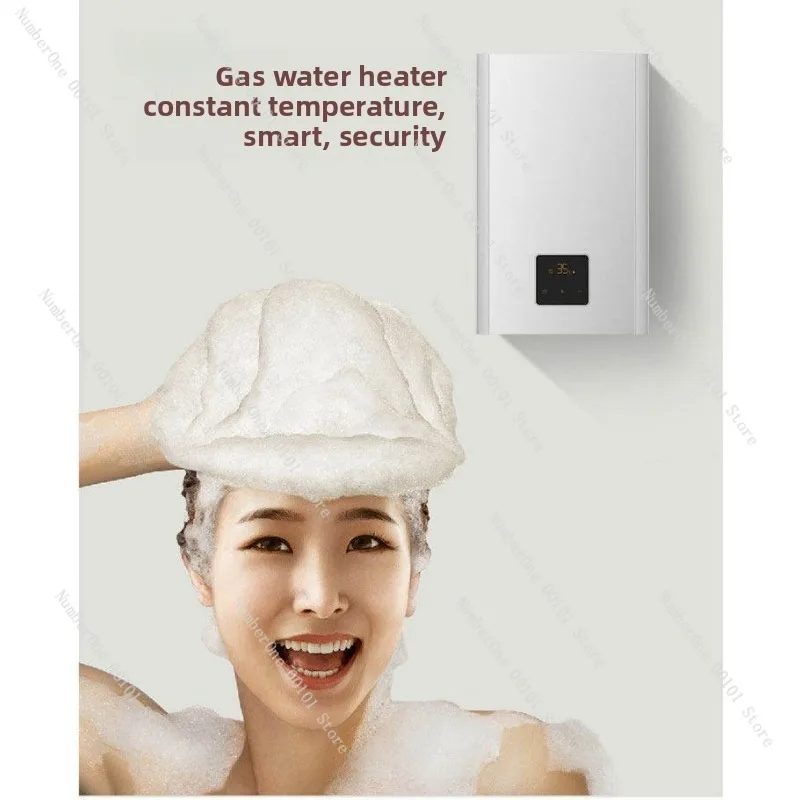 D1661/D1662 Gas Water Heater, Natural Gas, Constant Temp, Forced Exhaust, Balanced, X1606, E2