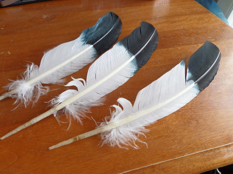 Großhandel 100 Stück 10-12 Zoll 25-30 cm gefärbte Truthahnflügel-Federn mit schwarzer Spitze, Imitations-Adlerfedern für DIY-Schmuckdekorationen – Detail 2