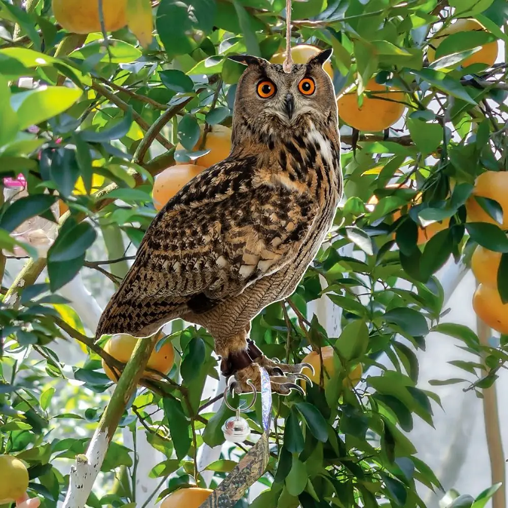 Tahan air burung Repel burung hantu Scarecrow palsu burung hantu umpan gantung dengan lonceng burung pengusir persegi panjang burung palsu menakut-nakuti perangkat luar ruangan