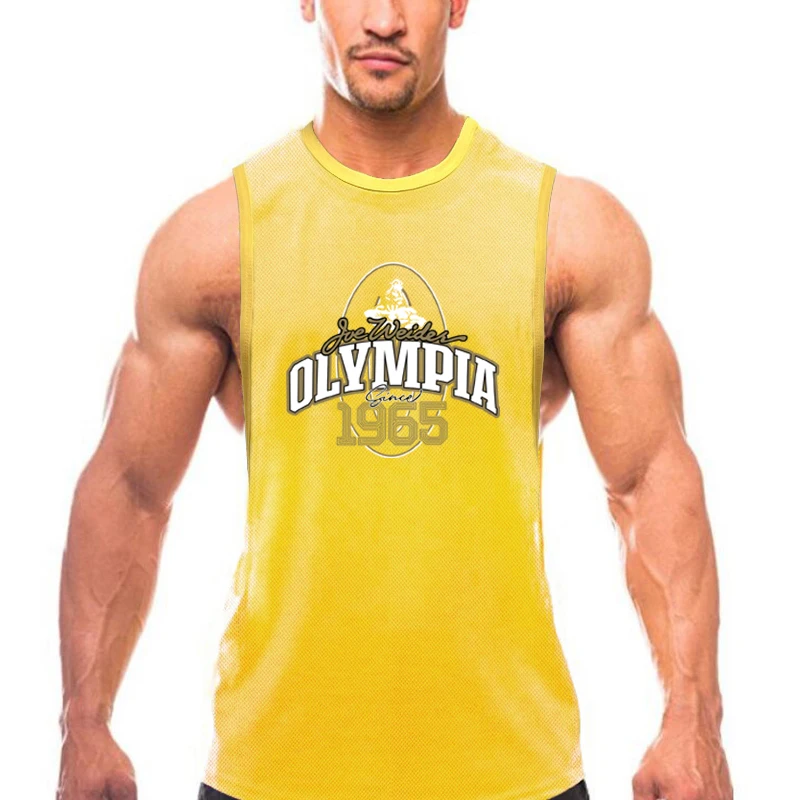 Summer Mesh Gym Tank Top Men Loose Quick Dry Fitness Sleeveless shirt Bodybuilding Workout Clothing O-Neck Sports Singlets