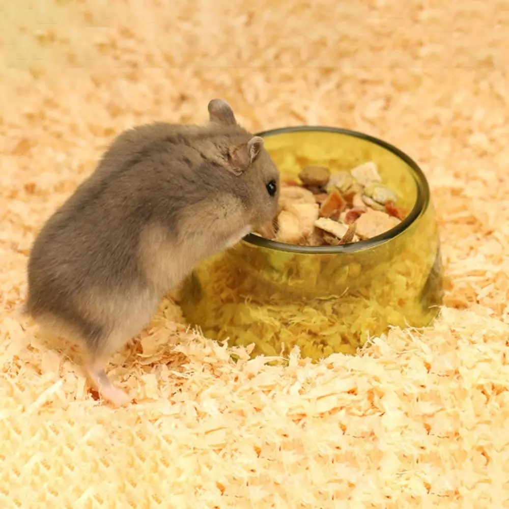 Bite Resistant Hamster Food Basin Non-slip Transparent Rat Food Water Dish Plastic Hamster Water Bowl