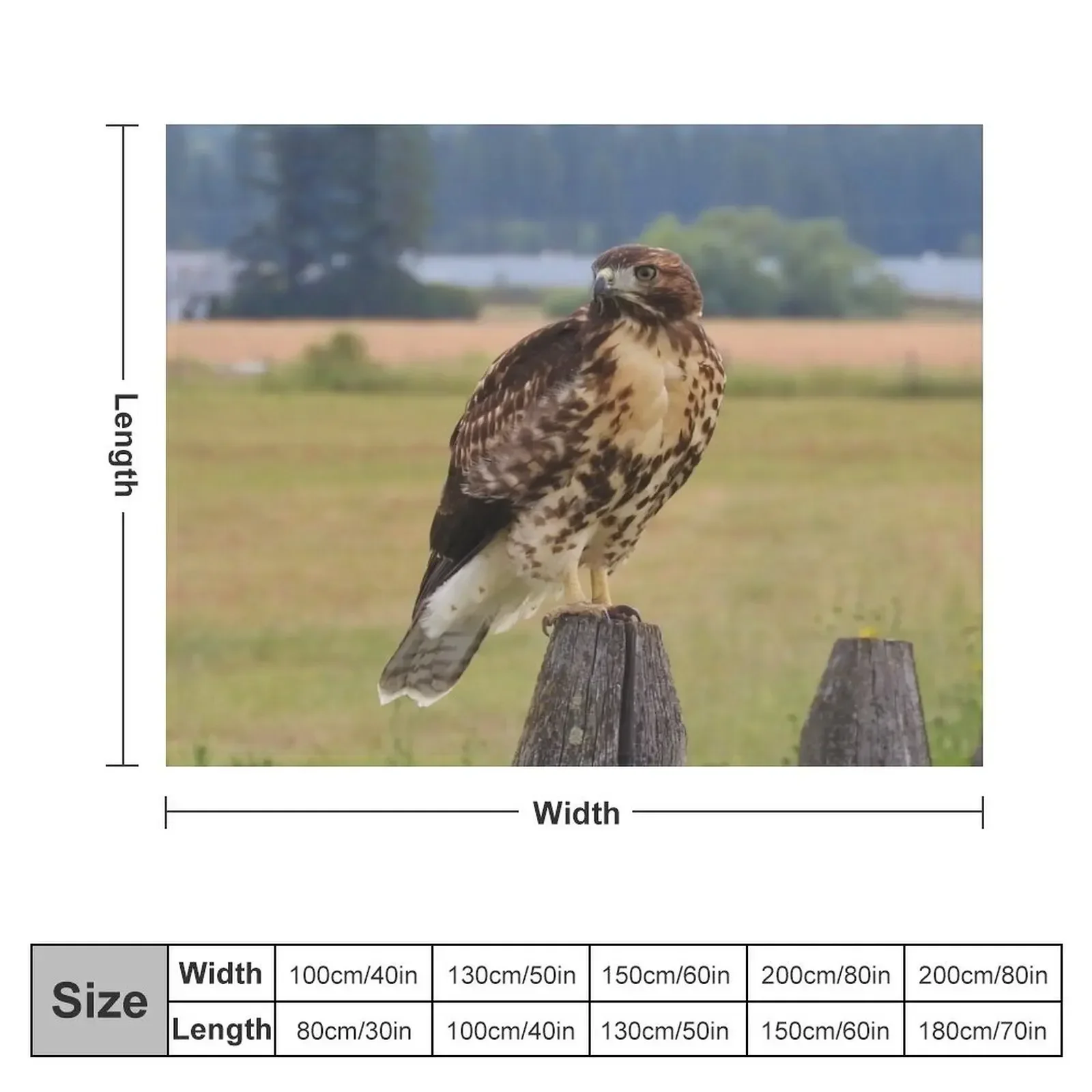 Red-Tailed Hawk Throw Blanket Polar Bed covers Blankets