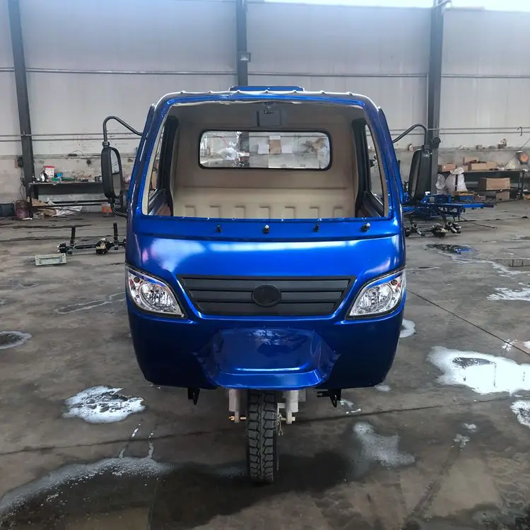 20253 عجلات مركبة زراعة البضائع دراجة ثلاثية العجلات الكهربائية 1000 واط قوة كبيرة مغلقة مع المقصورة