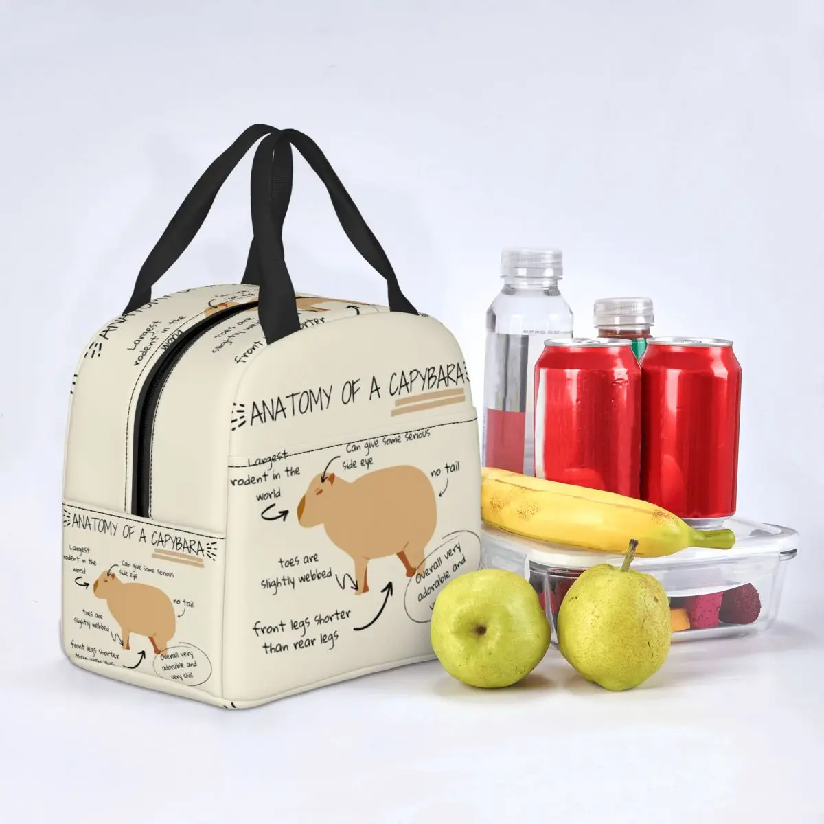 Anatomy Of A Capybara Thermal Insulated Lunch Bag Women Resuable Lunch Container for Kids School Children Storage Food Box