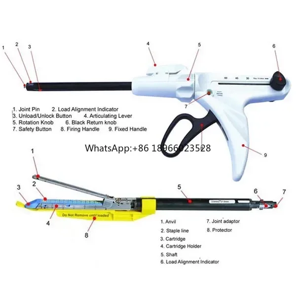 

Surgery Gastrointestinal Anastomosis Surgery Stapler Endo Linear Cutter Stapler Laparoscopic