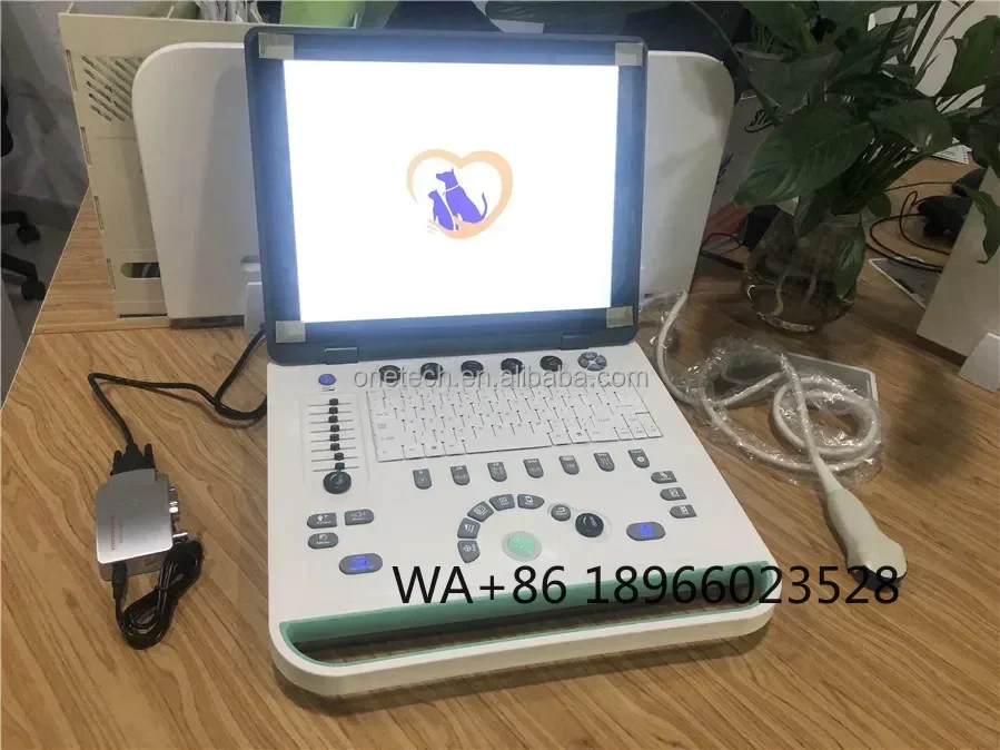 

New B22Vet Black And White Portable Ultrasound Scanner For Vet Veterinary Ultrasound Hine Price Ultrasound For Sale