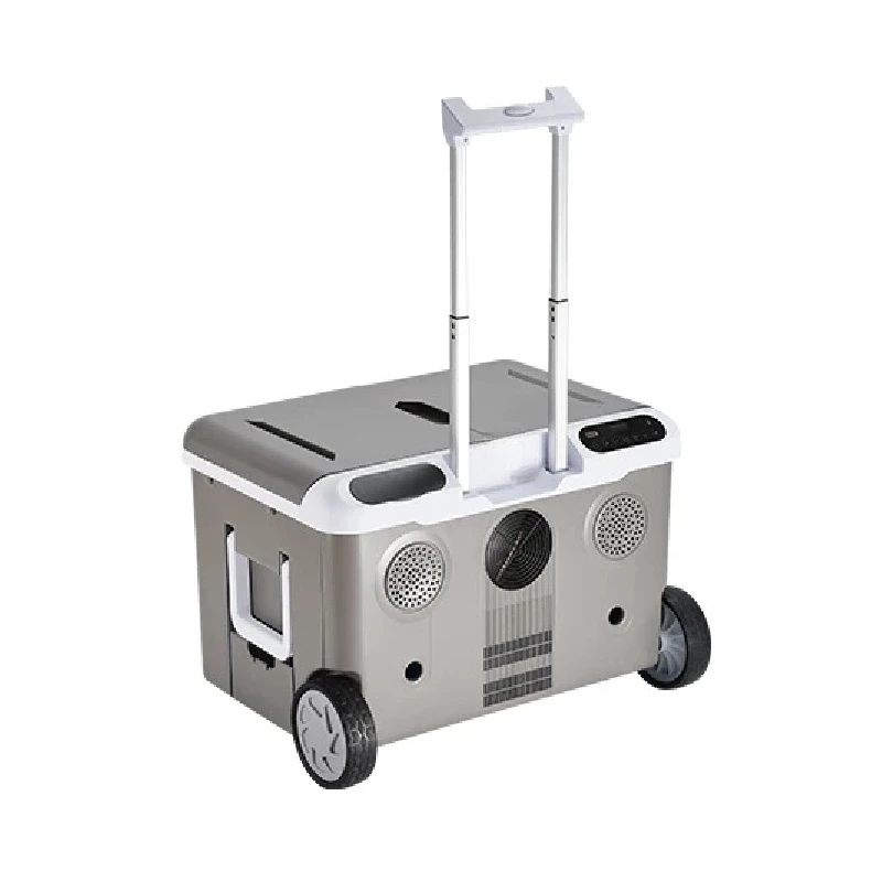 Professional 36L Portable Mini Car Fridge Freezer Compressor Cooler 12V 24V for Home SUV Truck Camping Parts