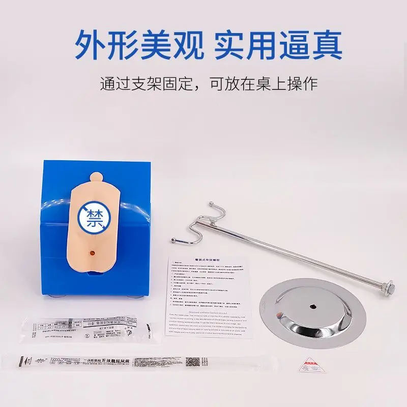 Premium Dress Male, Female Catheterization Model, Vulvar Care Simulated Catheterization Training With Waterproof Shorts