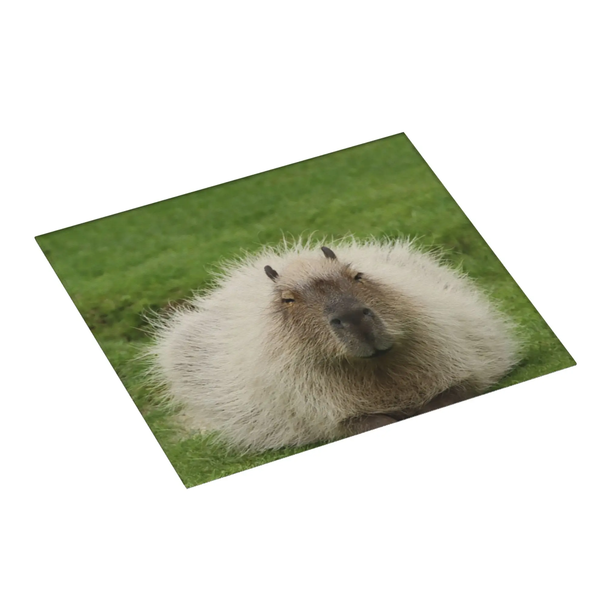 Drying Mat For Kitchen Animal Pet Capybaras Water Absorbent Waterproof Reusable Animal Pet On Slip Kitchen Counter Protector Mat